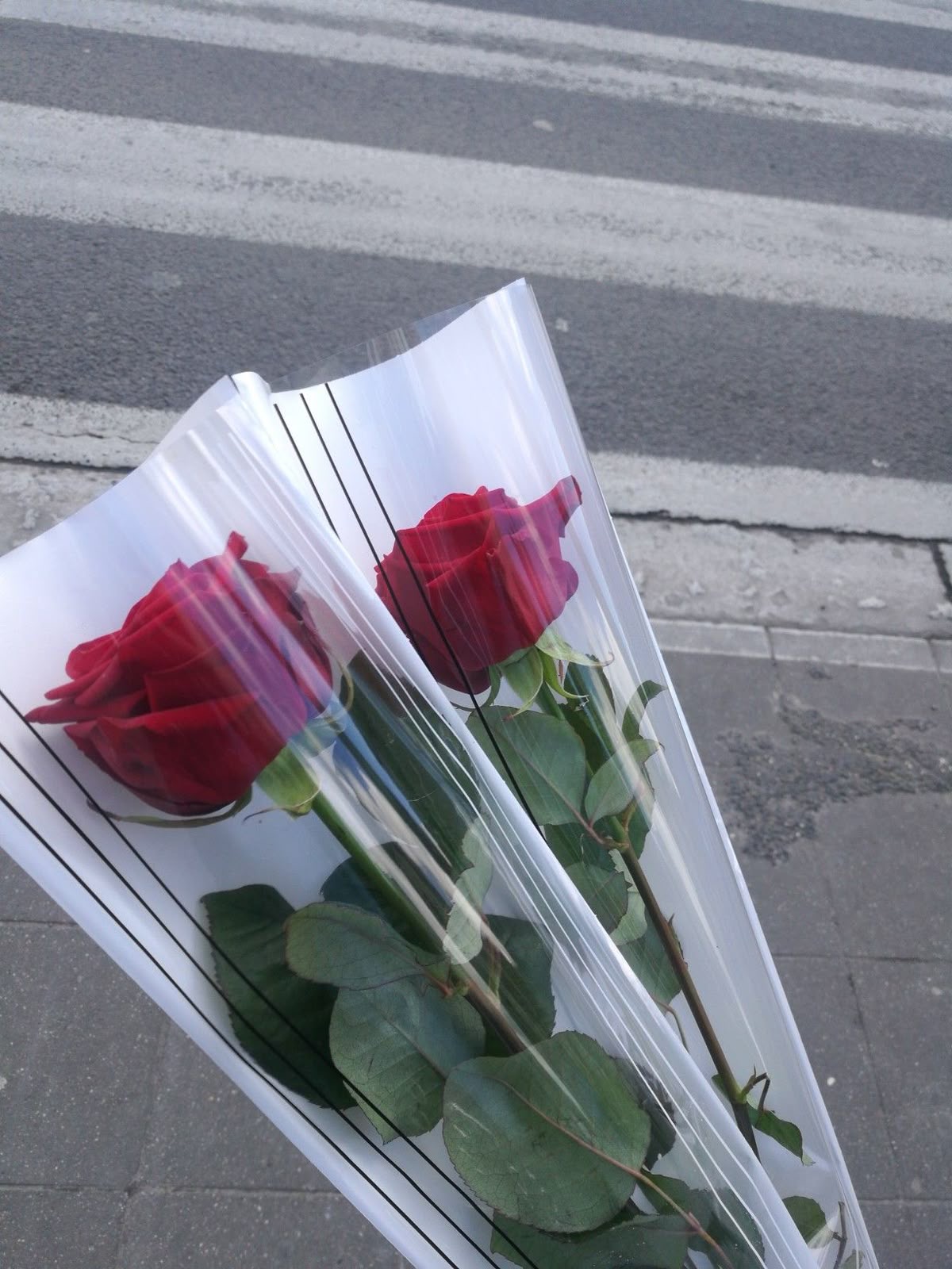 🌹 Minimalist & Poetic 