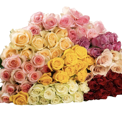 🌹 Mixed Roses Delight