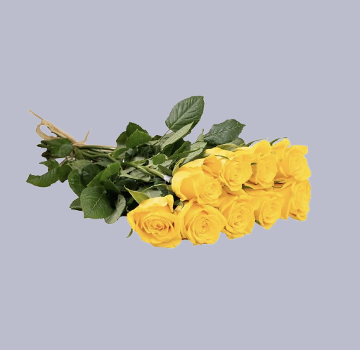 🌼 Sunshine Yellow Roses