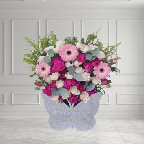 🦋 Baby Boy Butterfly Bloom