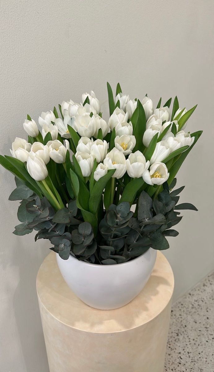 🌿 White Tulip Serenity