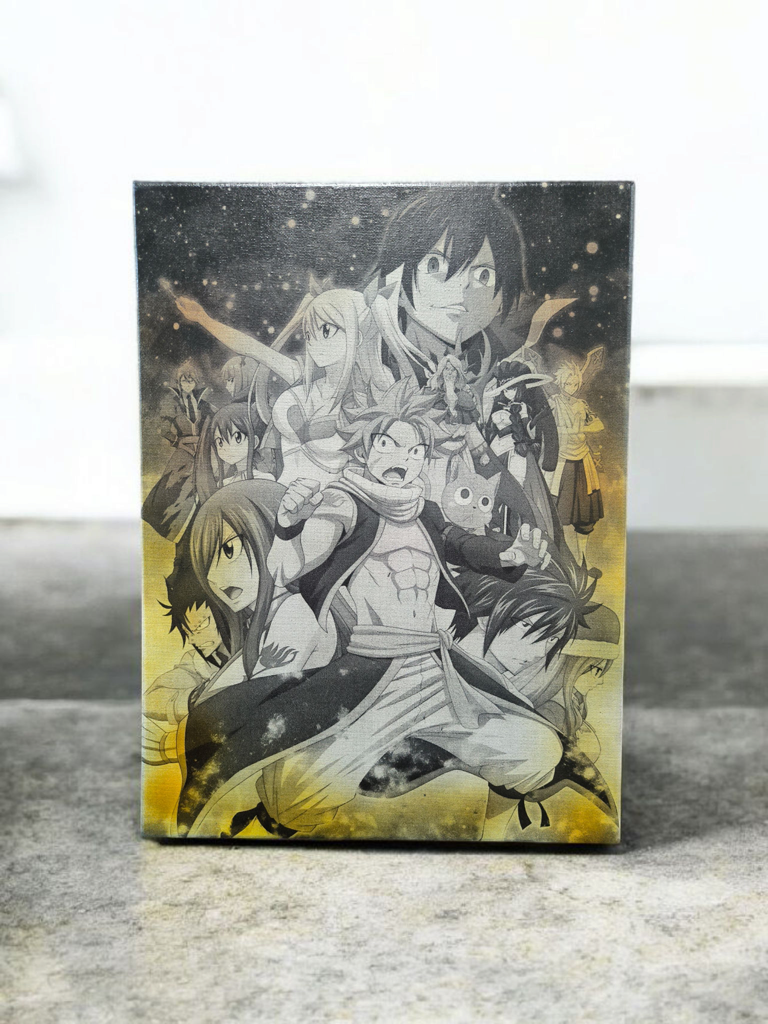 Toile FAIRY TAIL #3