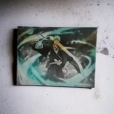 Toile BLEACH #1