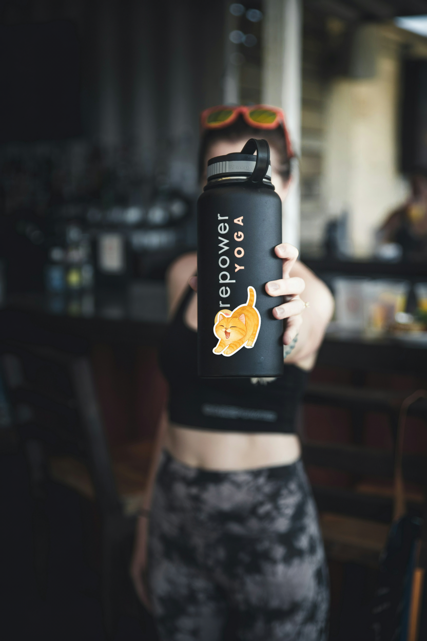 Playful Crouching Cat Sticker | Waterproof Vinyl for Laptop, Water Bottle & Journal