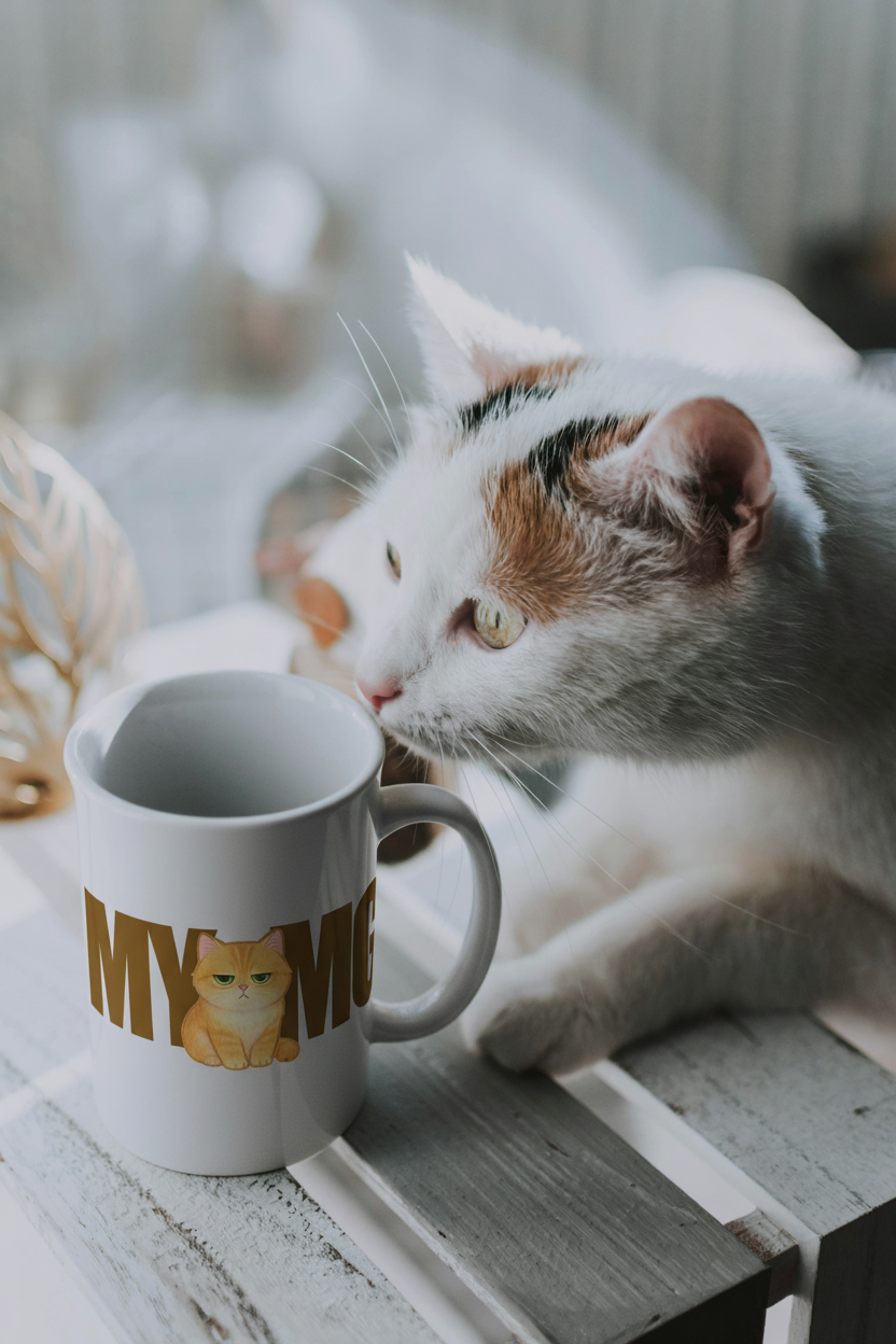 Grumpy Cat “MY MUG” Ceramic Coffee Cup – Funny Cat Lover Gift