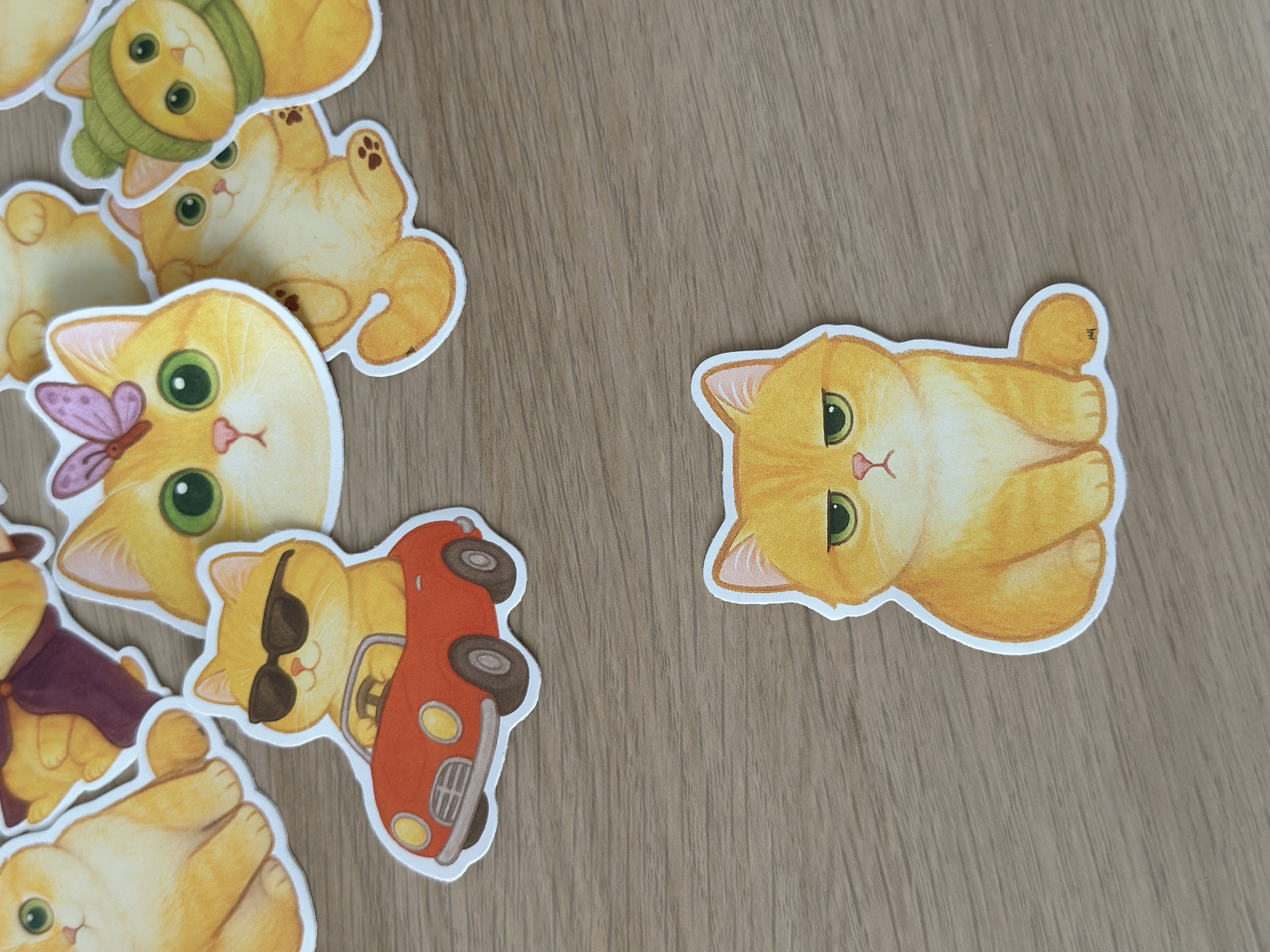 Funny Grumpy Cat Cho Cho Sticker  | Waterproof 