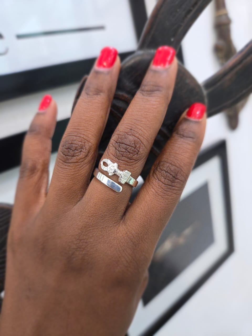 Silver Adjustable Double Ring