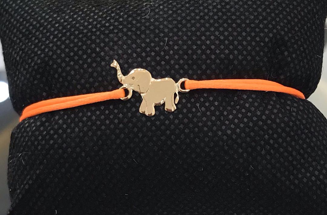 Suy (éléphant)