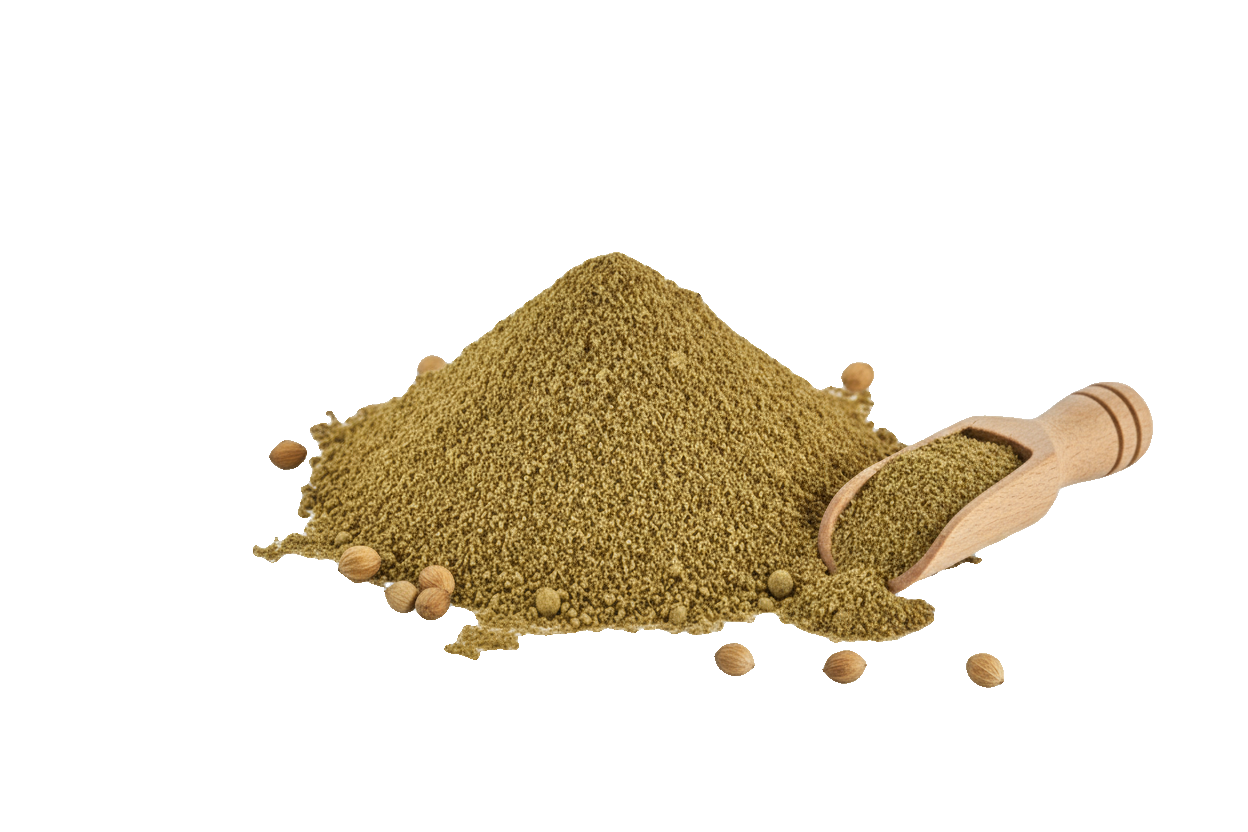 حبوب كزبرة طبيعية 100%