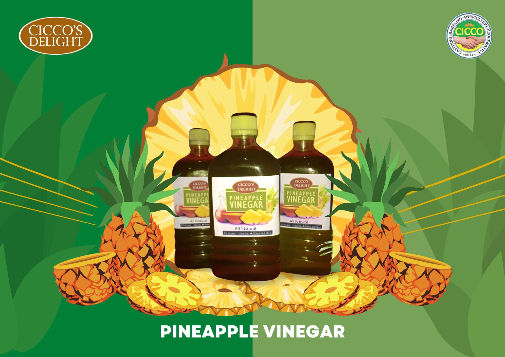 CAISA MPC - Pineapple Products