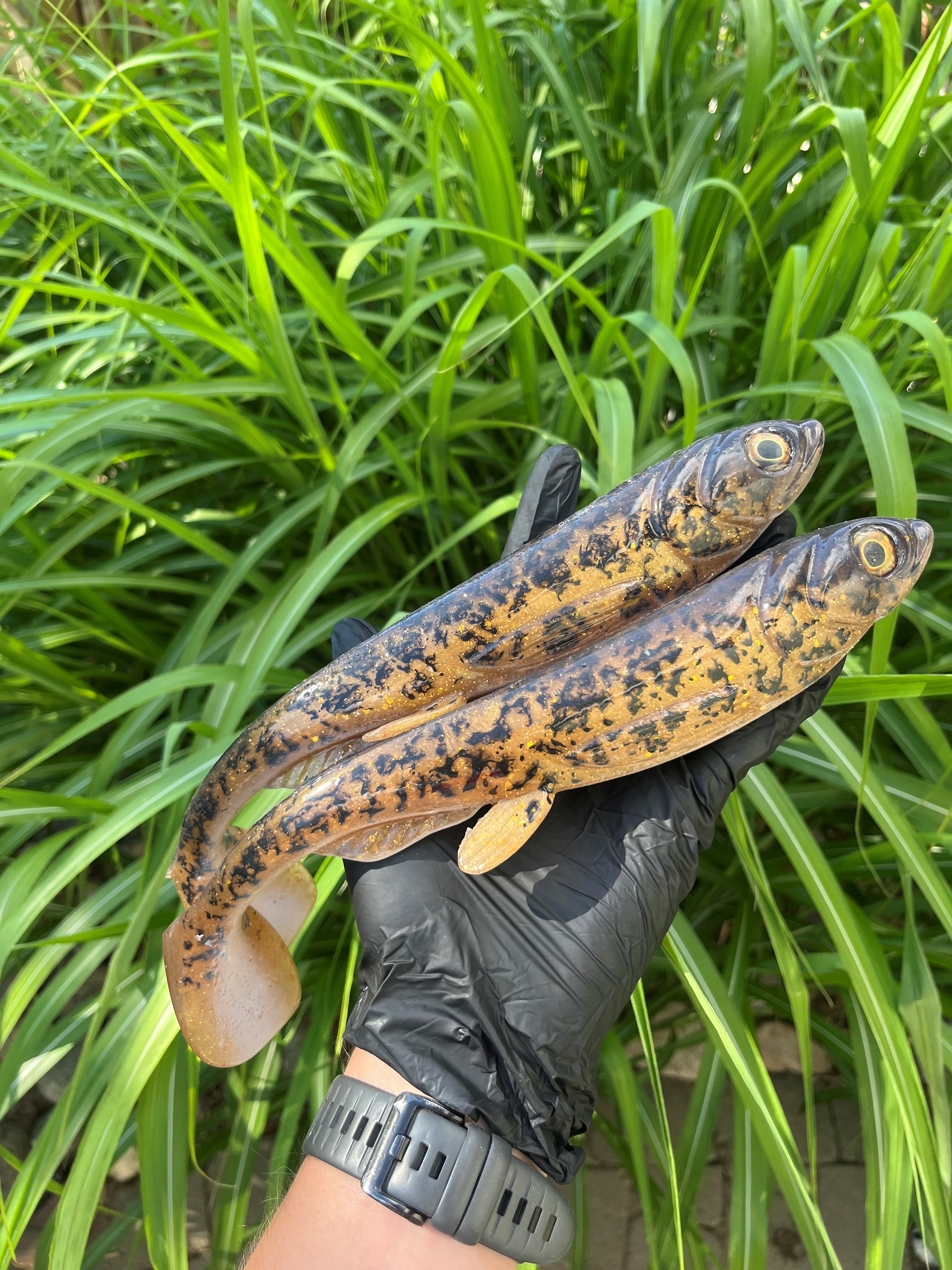 Baota 29 - Real burbot 