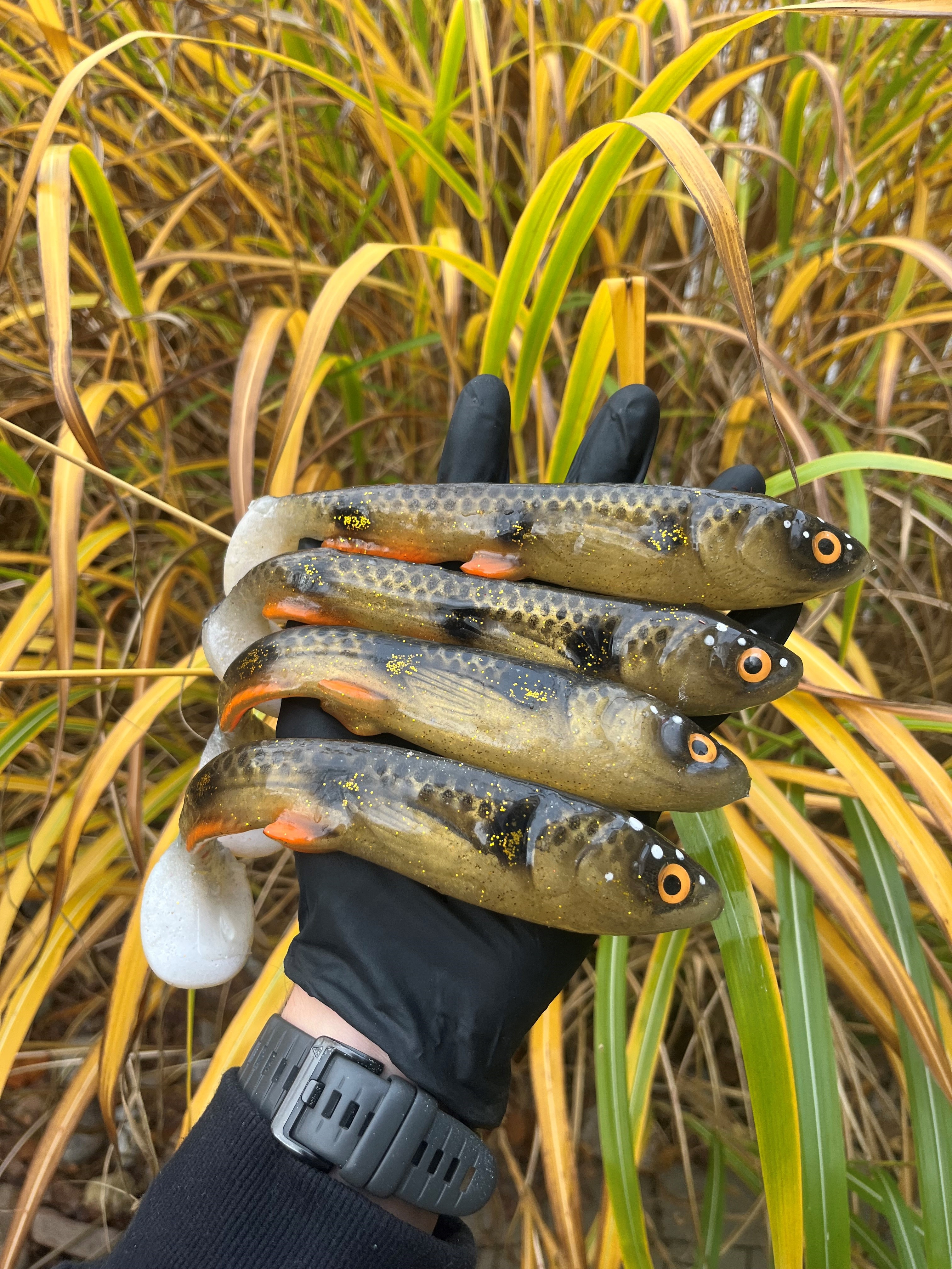 Snudan 20 - Spotted breamhead