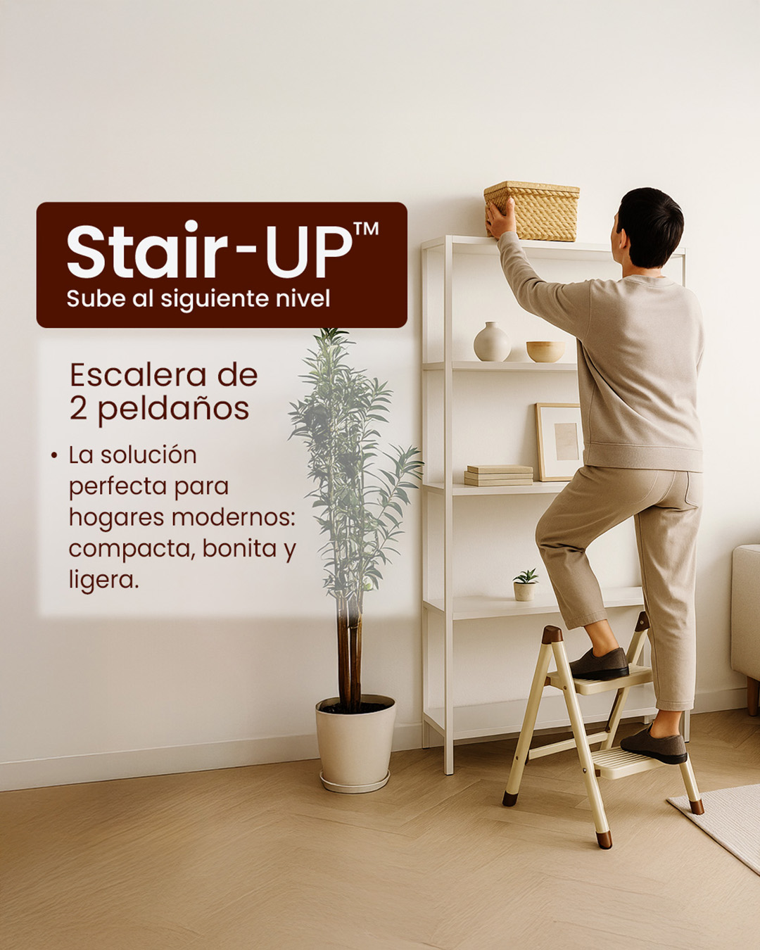 Escalera de 2 peldaños