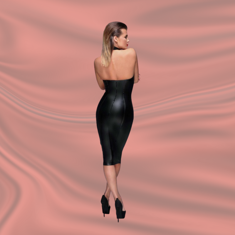 Robe Crayon Powerwetlook F160