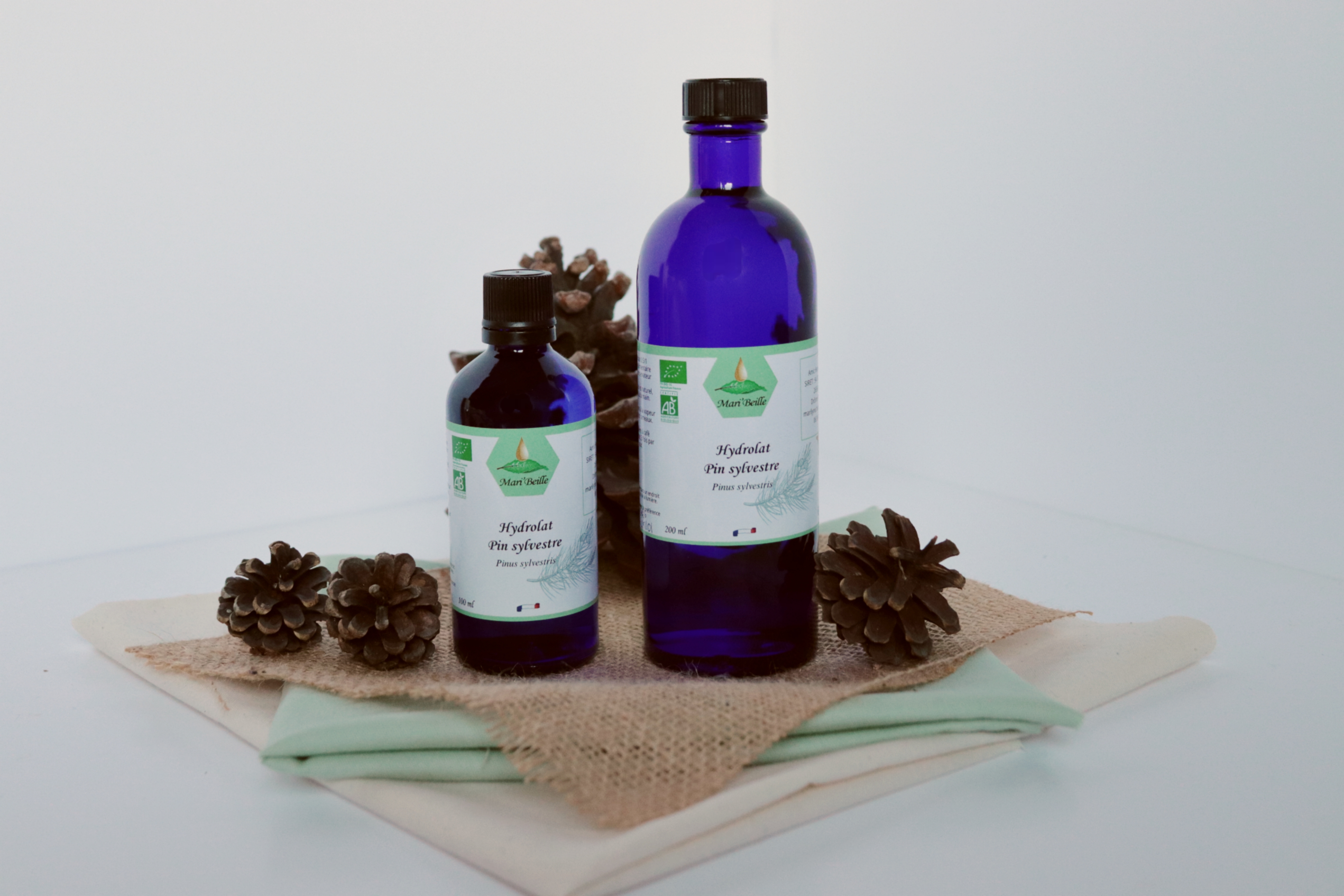 Hydrolat de Pin Sylvestre Bio