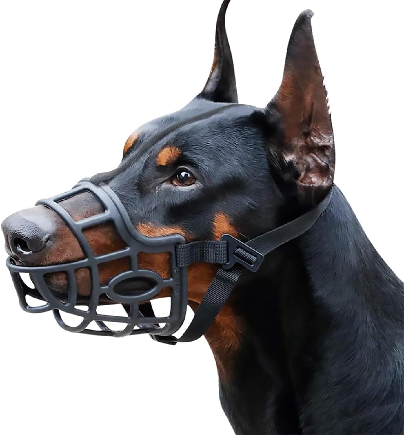 Dog Muzzle, Breathable Basket Muzzles for Small, Medium, Large and X-Large Dogs, Stop Biting, Barking and Chewing (XXL - Dane, Black)