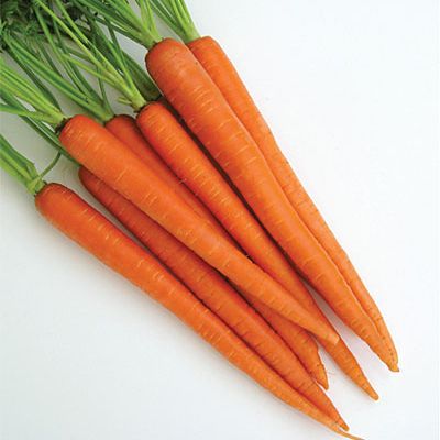 Retail Carrots Cello