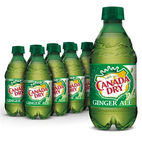 Canada Dry Ginger Ale 12oz Bottles