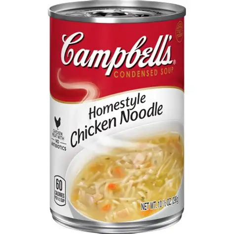Campbell's Chicken Noodle  Soup