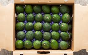Fresh Hass Avocados