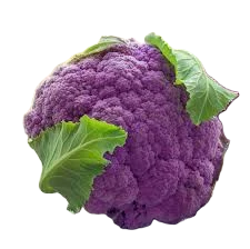 Purple Cauliflower