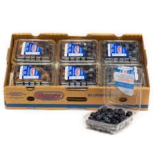 Fresh Blueberries Case 