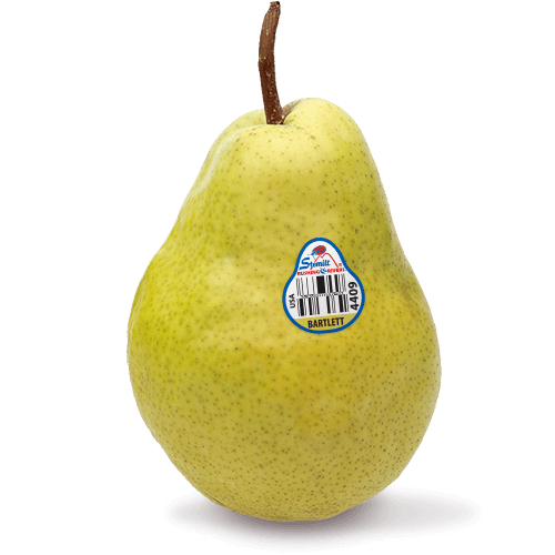 Bartlett Pear