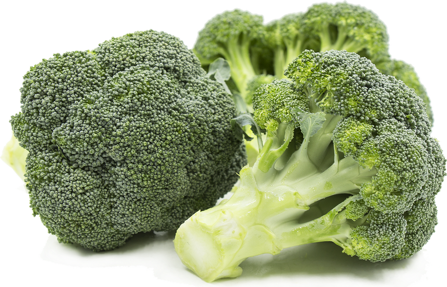 Fresh Broccoli 
