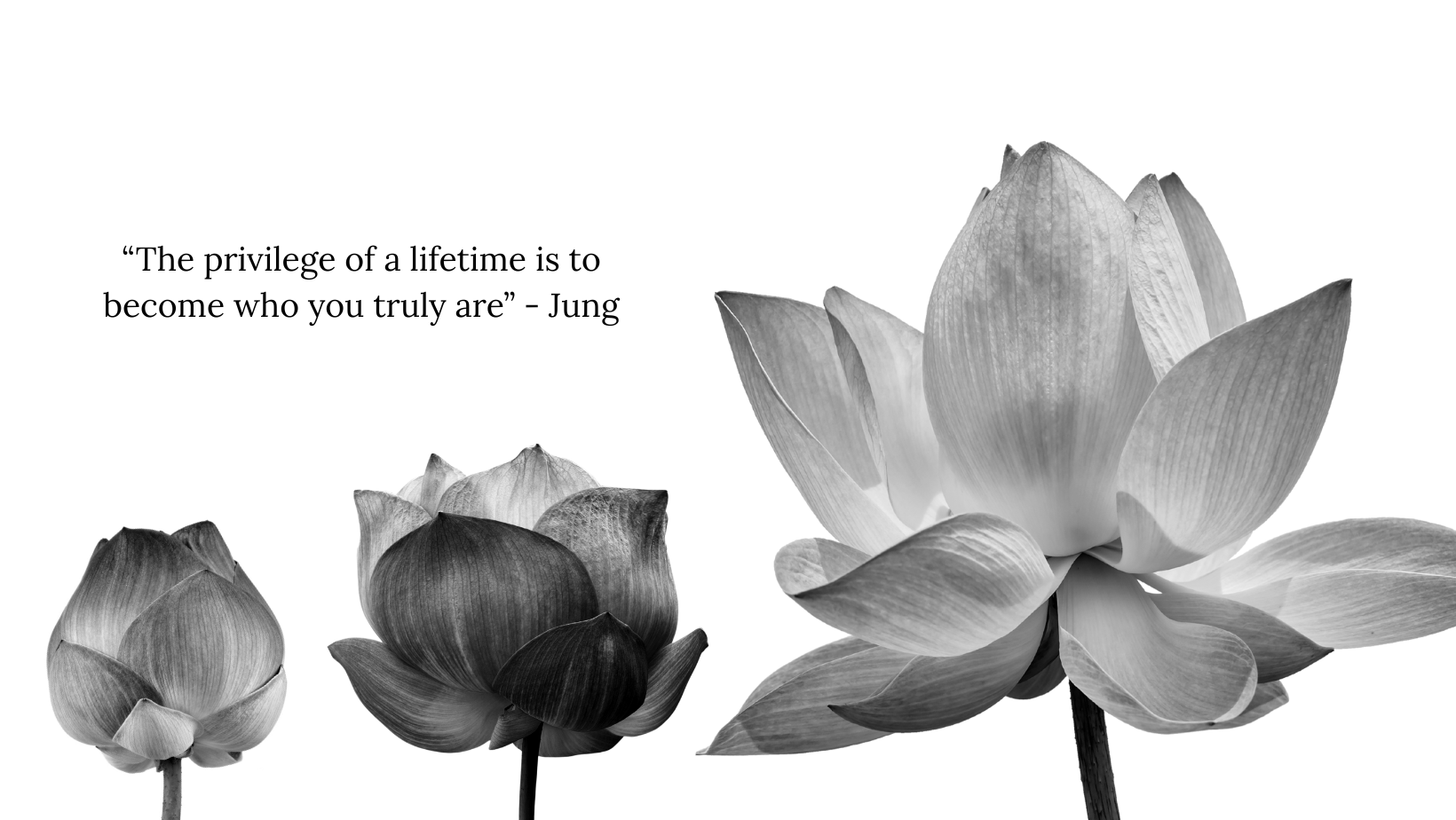 Book a 15 minute consultation