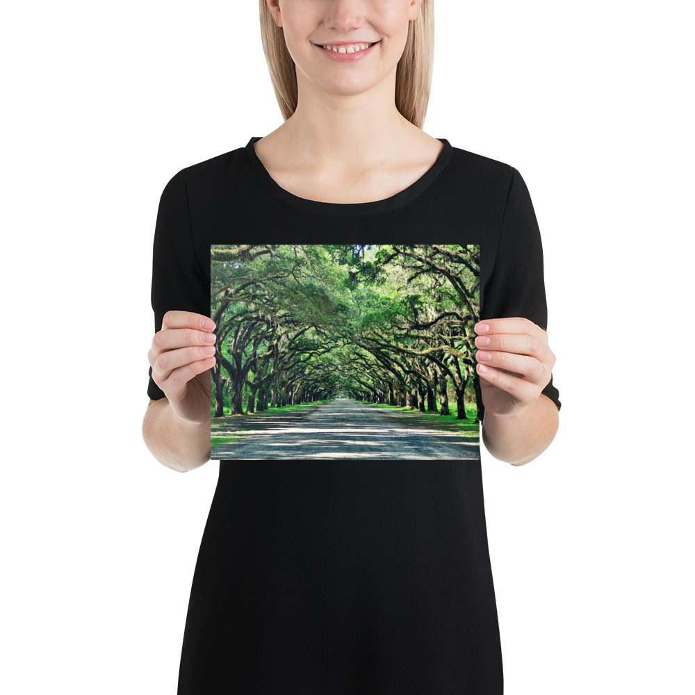 Wormsloe Historic Site on Canvas