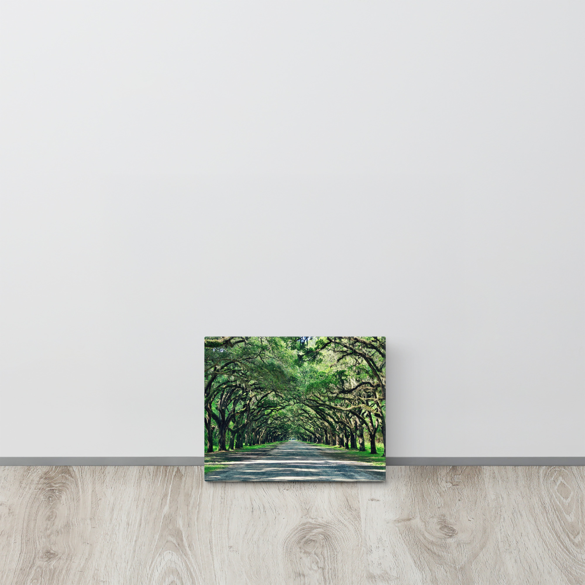 Wormsloe Historic Site on Canvas
