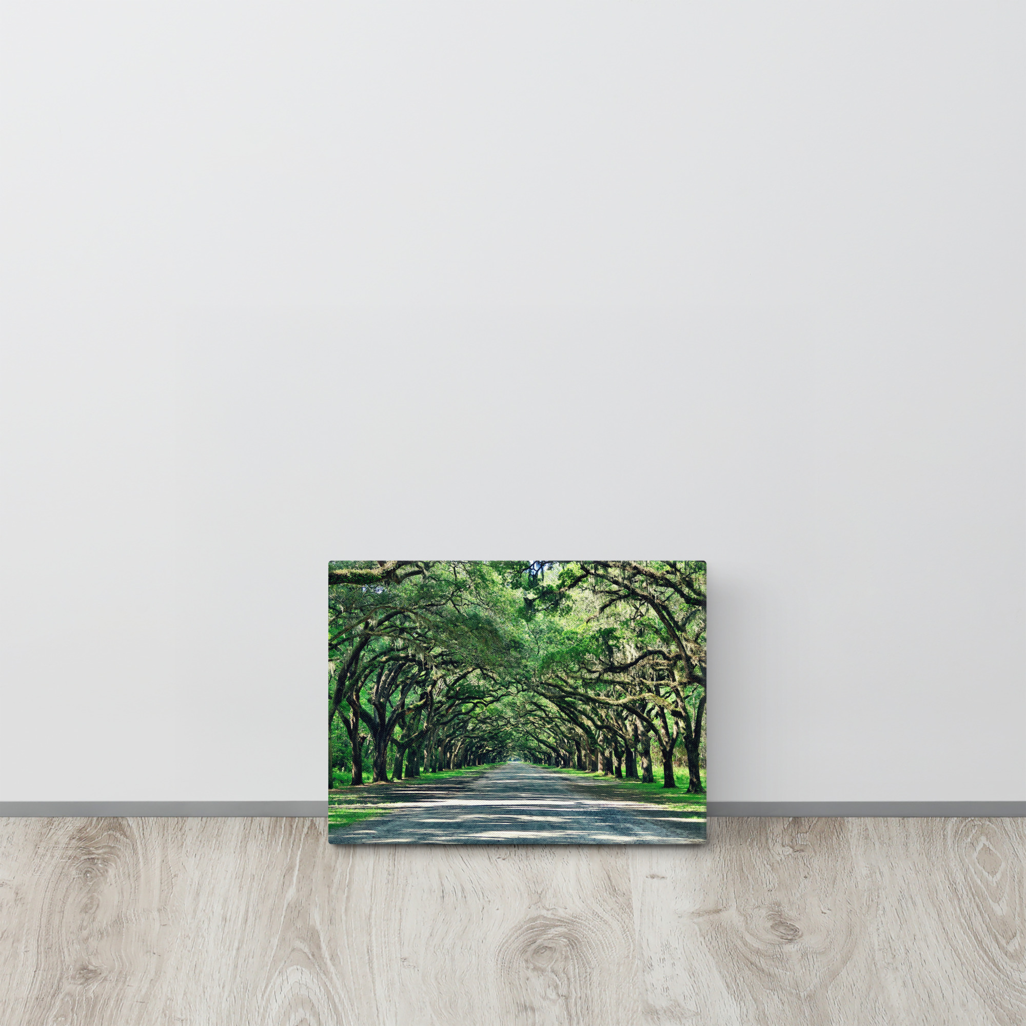Wormsloe Historic Site on Canvas