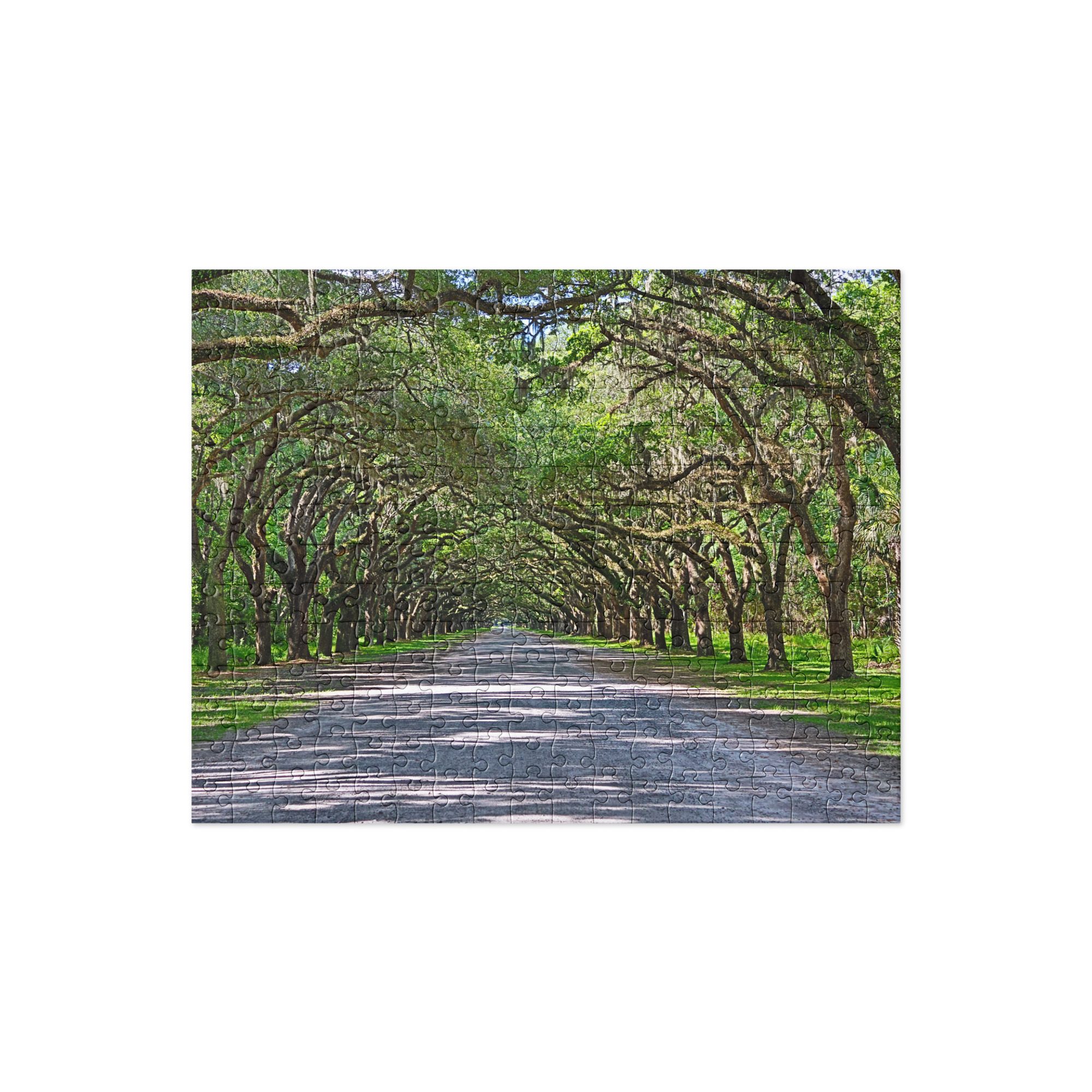 Tree-Lined Road Jigsaw Puzzle