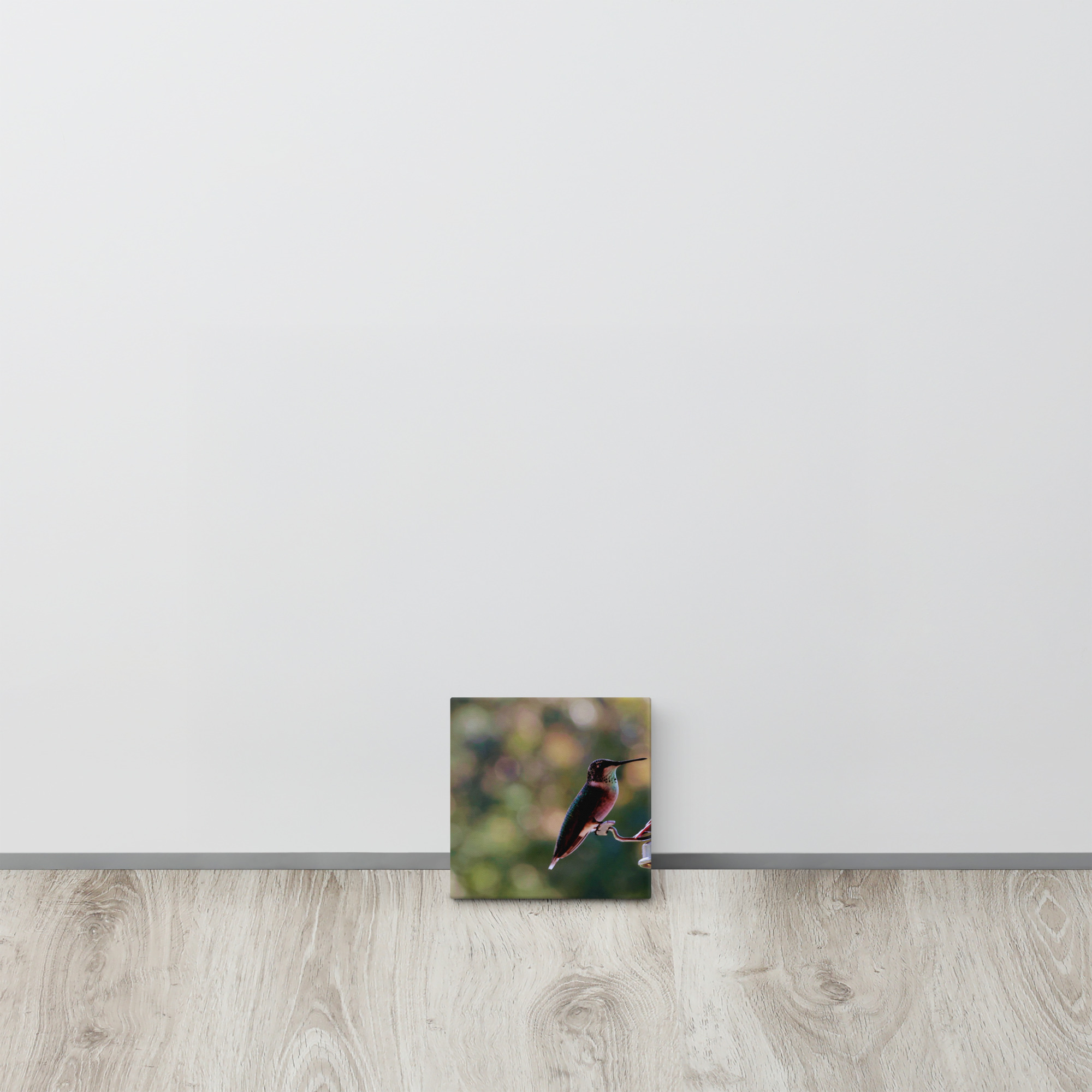 Hummingbird on Canvas 