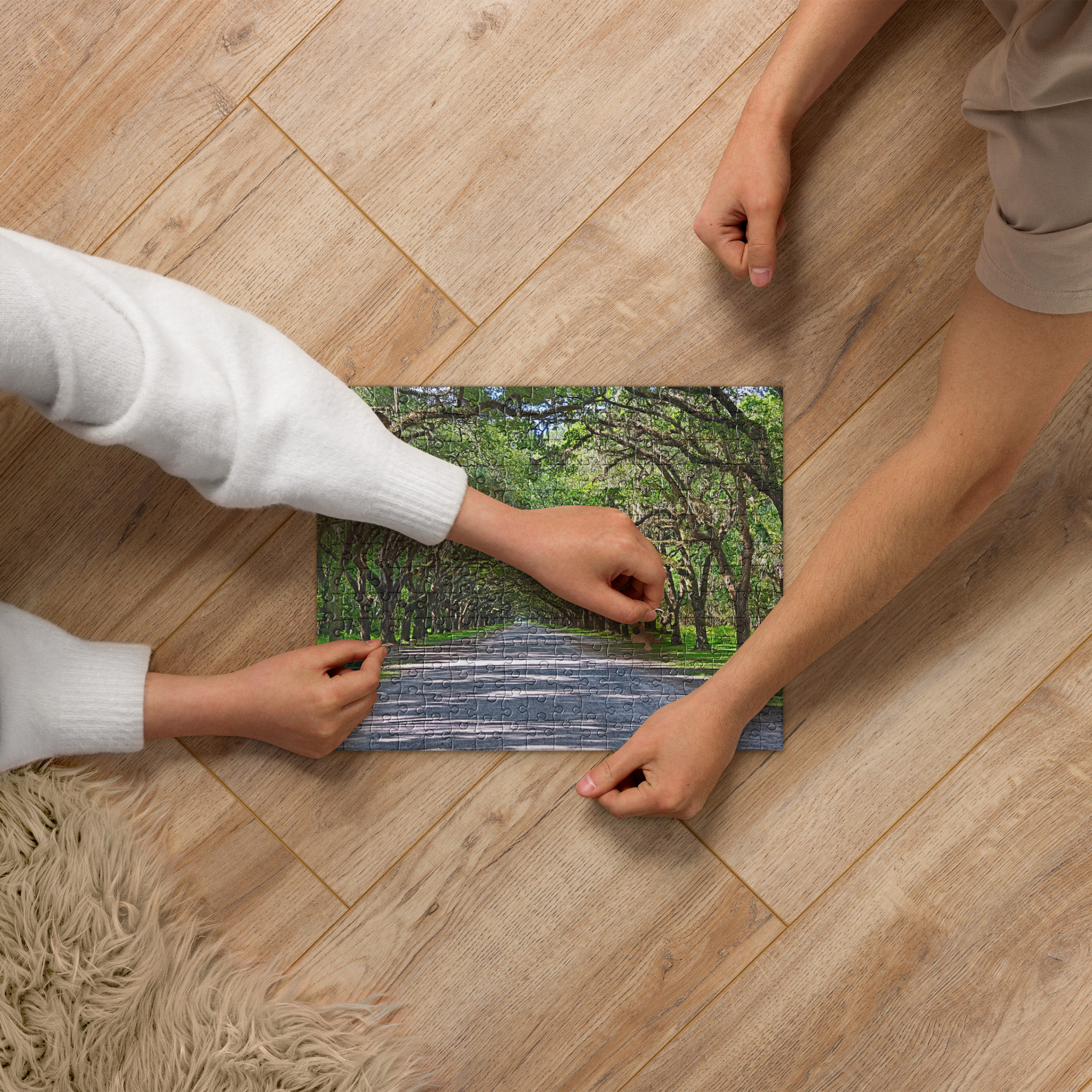 Tree-Lined Road Jigsaw Puzzle