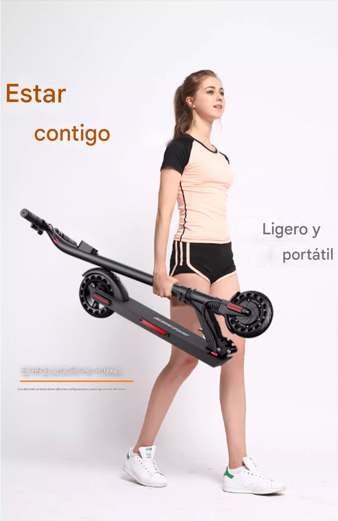 Bremer Electric Scooter PRO
