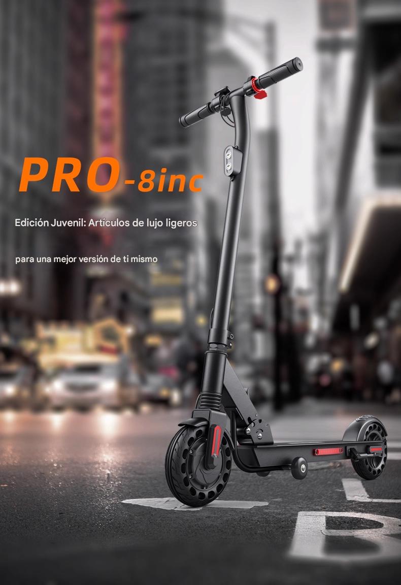 Bremer Electric Scooter PRO