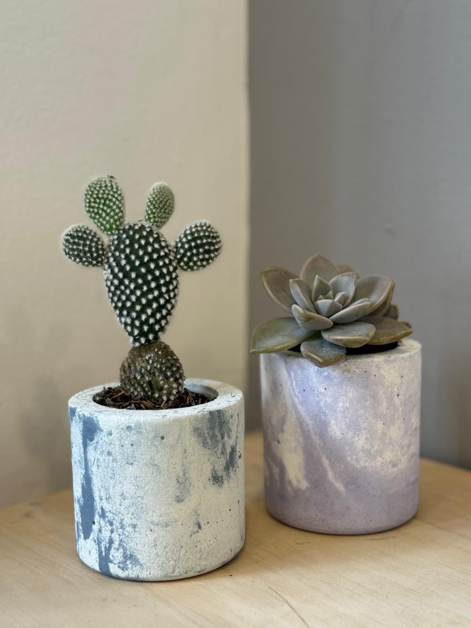 Maceta decorativa cilindrica en set x2