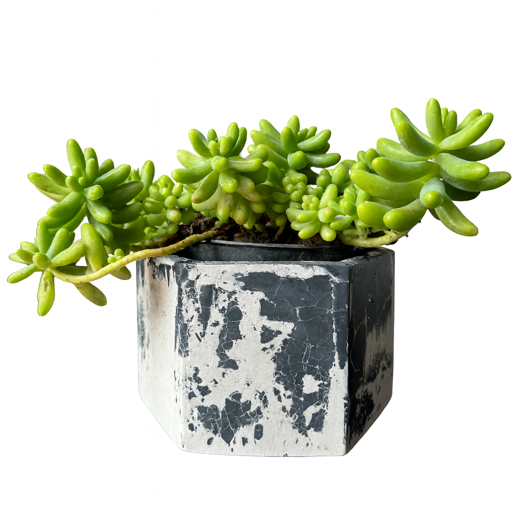 Maceta de concreto blanco