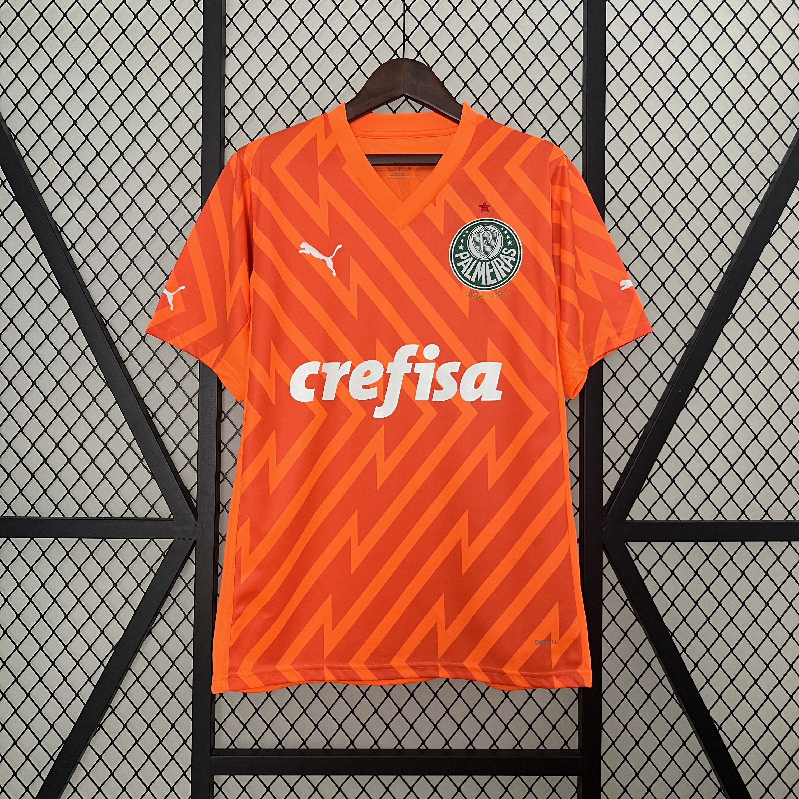 Camisa de futebol Palmeiras 2024