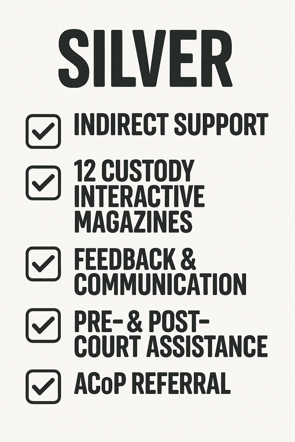 Silver Coaching & Strategy Package