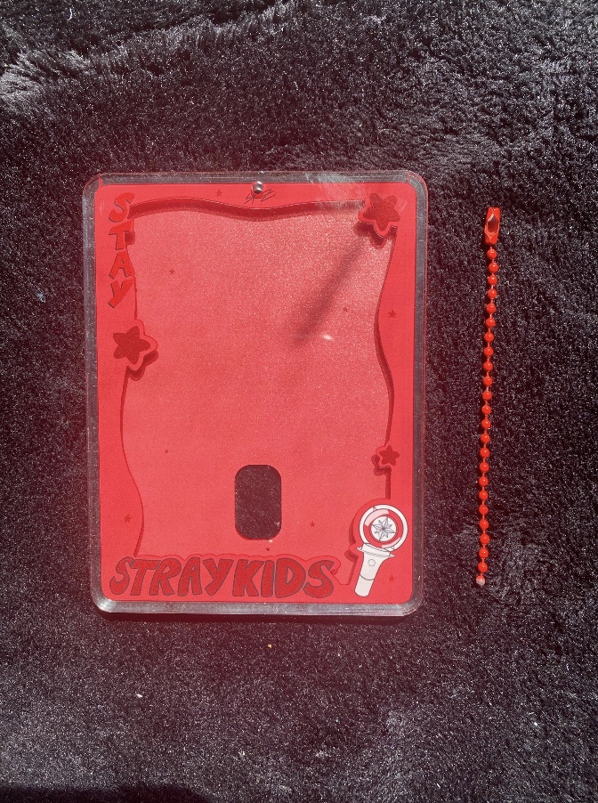Stray Kids Photocard Holder