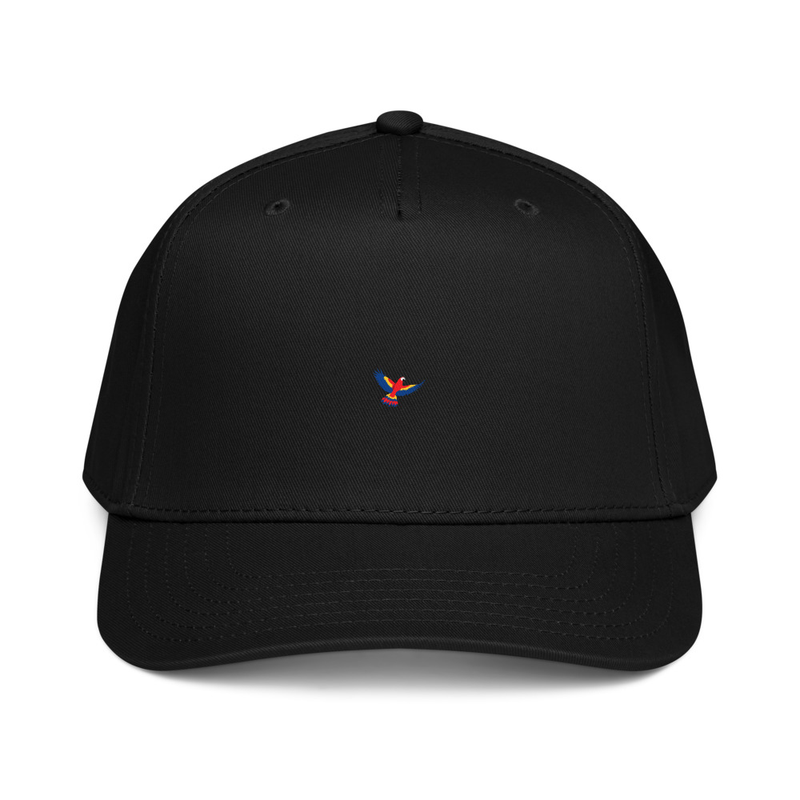 5 panel cap
