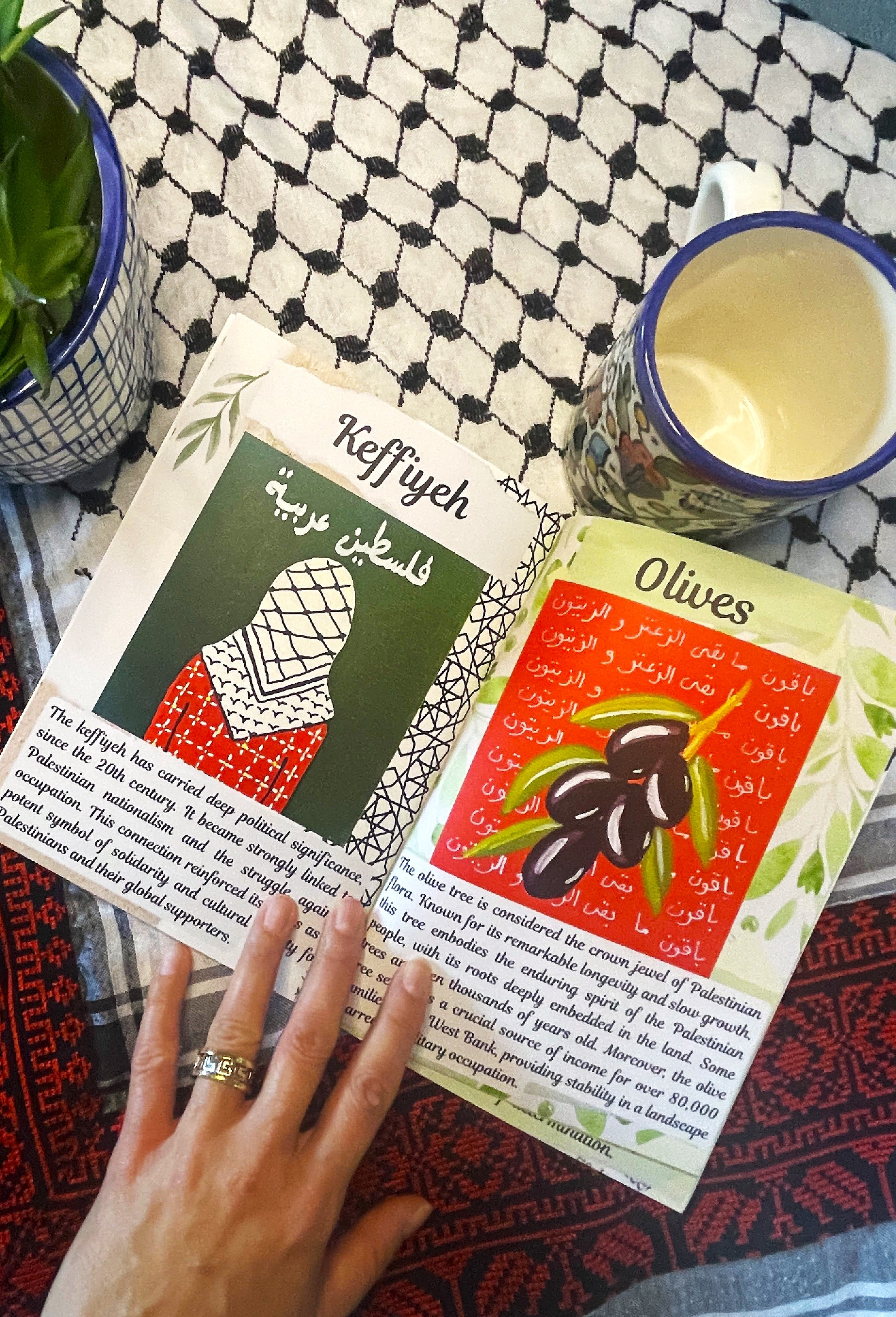 30 Days of Palestine by Dina Ali