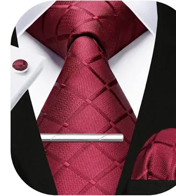 Elegant Burgundy Tie Set