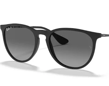 Ray-Ban Erika Sunglasses