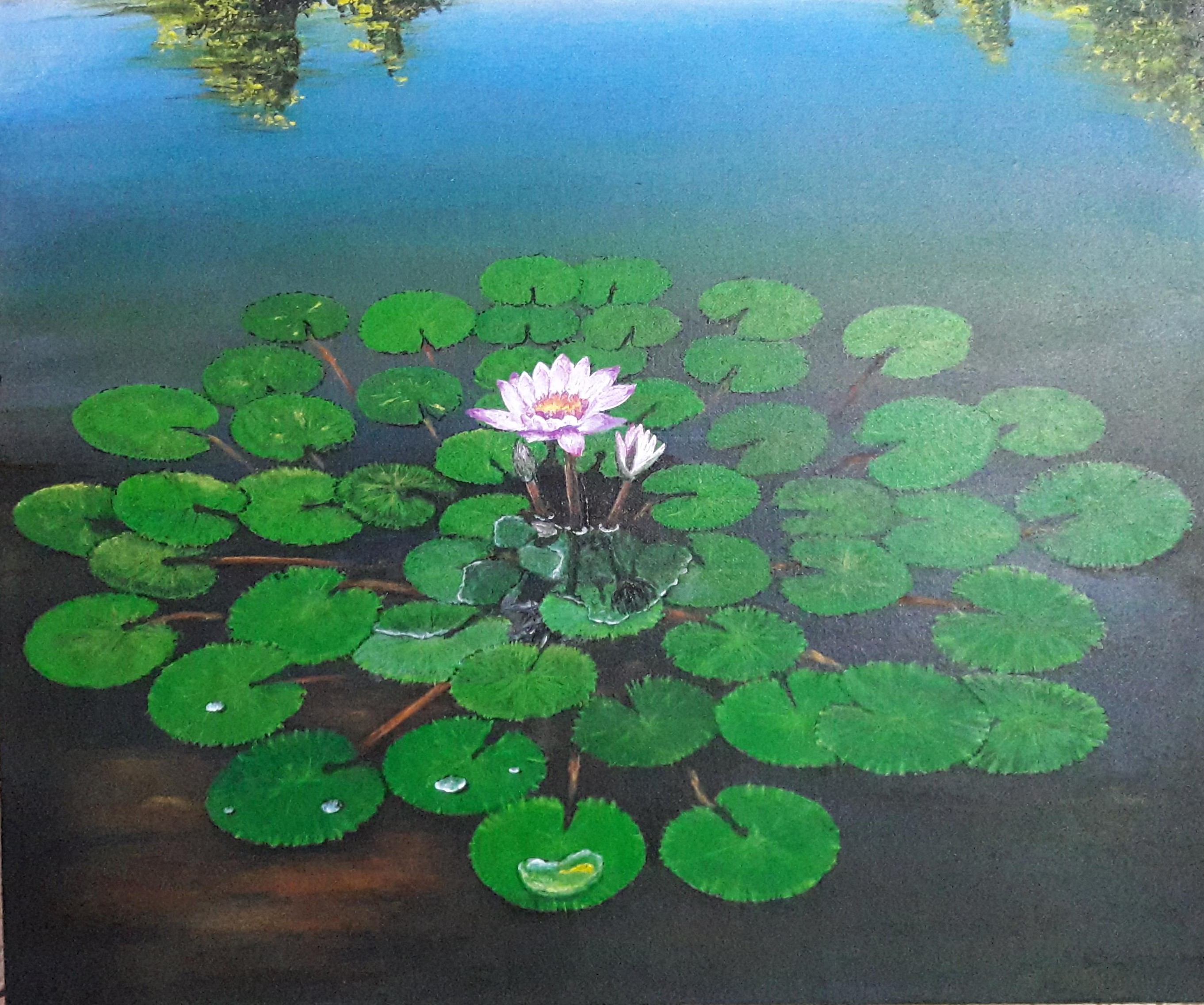 Lotus