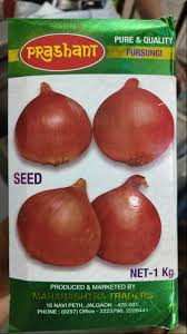 Prashant Onion Seeds (Fursungi)
