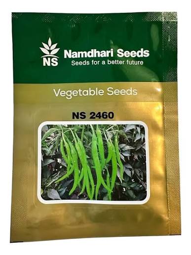 Namdhari NS 2460 Vegetable Seeds