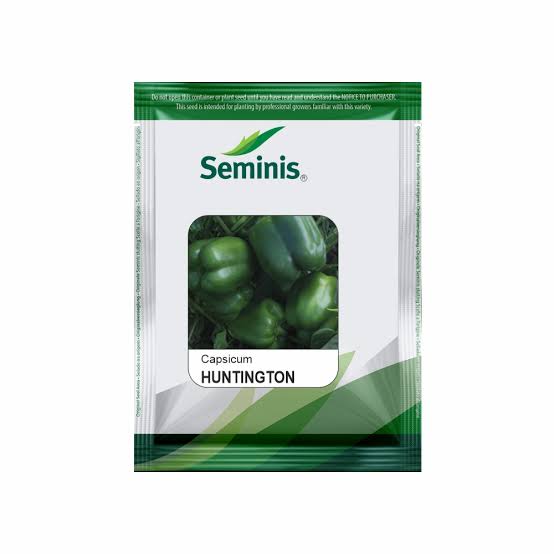 Capsicum Huntington Seeds